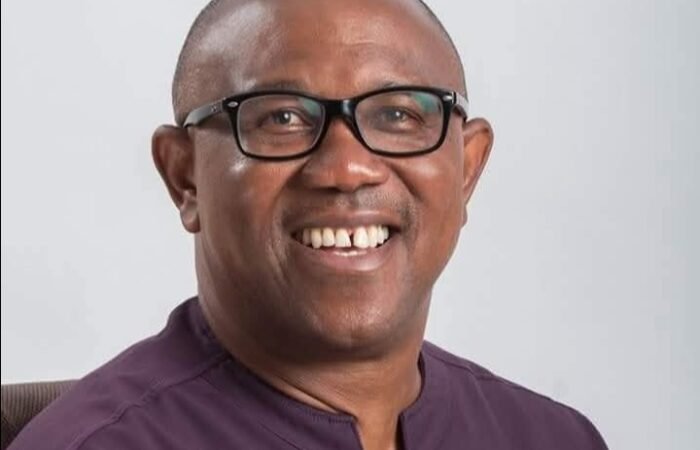 Peter Obi's Affiliation with Abacha Irrelevant
