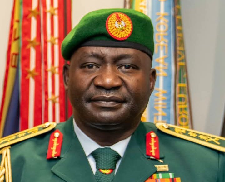 Insecurity not reversible with the appointment of Gen. Musa – Francis Onyema