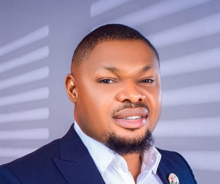 Harrison Gwamnishu’s saga an indictment of Tinubu’s incompetence – Francis Onyema